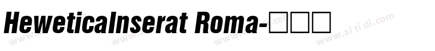 HeweticaInserat Roma字体转换